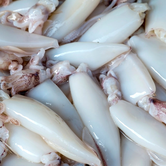 Japanese Flying Squid