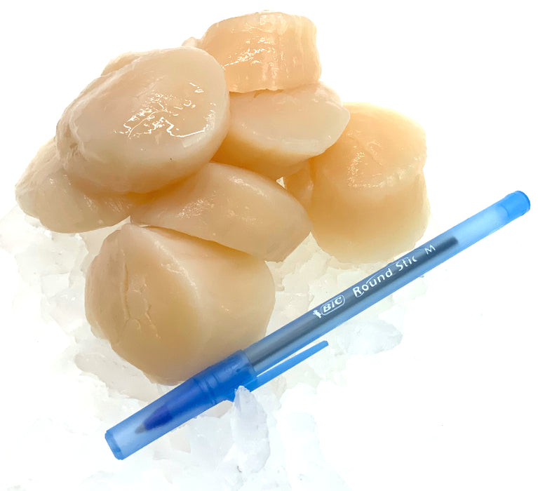 Hokkaido Scallops