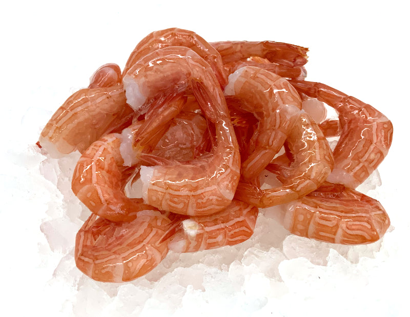 Side Stripe Shrimp